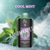 Cool Mint