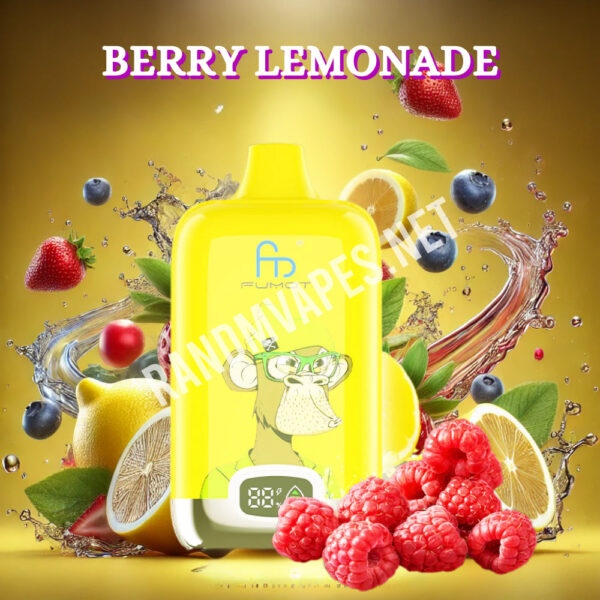 Randm-Digital-Box-12000-Berry-Lemonade.jpg