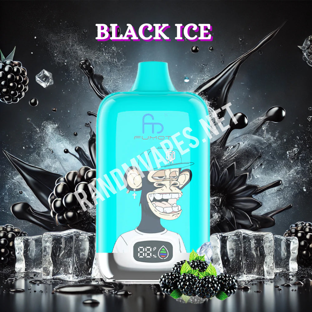 Black Ice 1 Black Ice