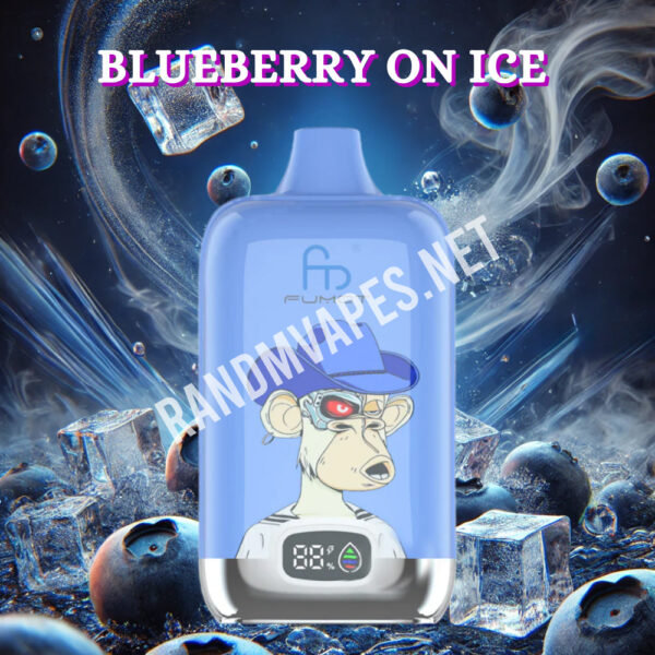 Randm-Digital-Box-12000-Blueberry-on-Ice.jpg Randm-Digital-Box-12000-Blueberry-on-Ice.jpg