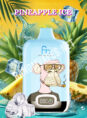 Randm-Digital-Box-12000-Pineapple-Ice.jpg
