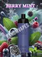 Randm-Shisha-10000-Berry-Mint.png