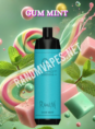 Randm-Shisha-10000-Gum-Mint.png