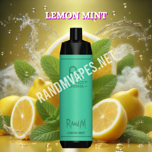 Randm-Shisha-10000-Lemon-Mint.png