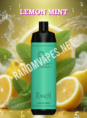Randm-Shisha-10000-Lemon-Mint.png