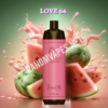 Love 66
