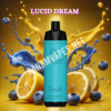 Lucid Dream