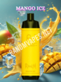 Randm-Shisha-10000-Mango-Ice.png