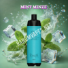 Mint Minze