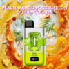 Peach Mango Watermelon & Pina Colada