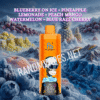 Blueberry on Ice - Pineapple Lemonade - Peach Mango Watermelon - Blue Razz Cherry