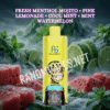 Fresh Menthol Mojito - Pink Lemonade - Cool Mint - Mint Watermelon