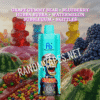 Grape Gummy Bear - Blueberry Hubba Bubba - Watermelon Bubblegum - Skittles