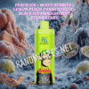 Peach Ice - Mixed Berries - Lemon Peach Passionfruit - Black Ice Dragonfruit Strawberry