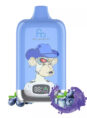 randm-digital-box-12000-blueberry-on-ice-1.jpg