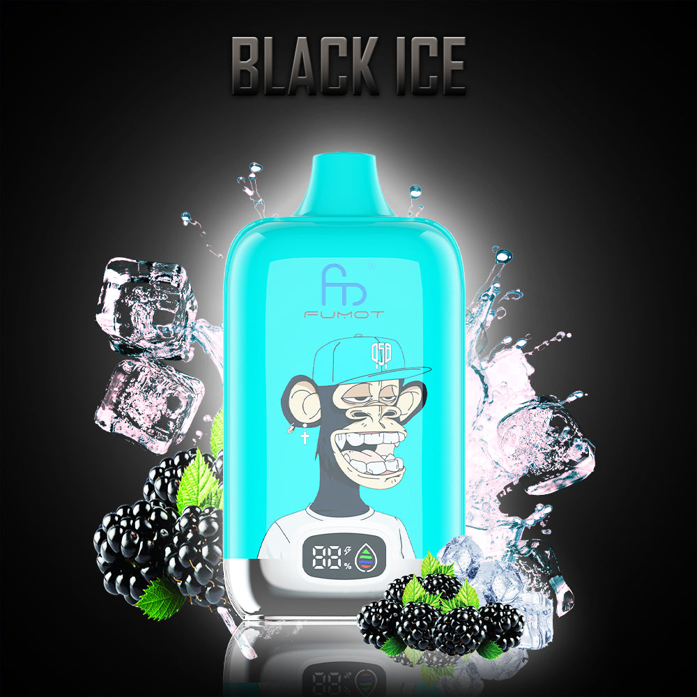Black Ice 2 Black Ice – Bild 2