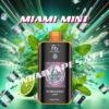 Miami Mint