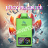 Juicy Peach Ice