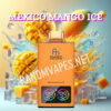 Mexico Mango Ice