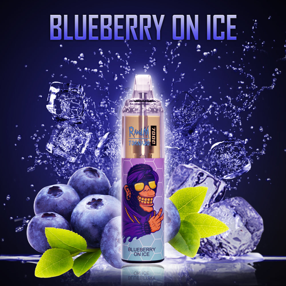 Blueberry On Ice 3 Blueberry On Ice – Bild 3