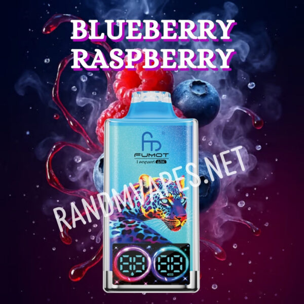 randm-vape-40000-blueberry-Raspberry.jpg