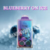 Blueberry on Ice