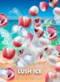 randm_tornado_12000_puff_lush_ice.jpg