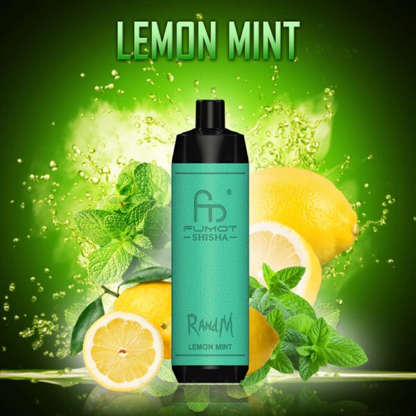 randm_tornado_shisha_10000_lemon_mint.jpg randm_tornado_shisha_10000_lemon_mint.jpg