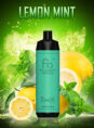 randm_tornado_shisha_10000_lemon_mint_0b6aeb01-adfa-4515-ad60-a2d450a5722e.jpg