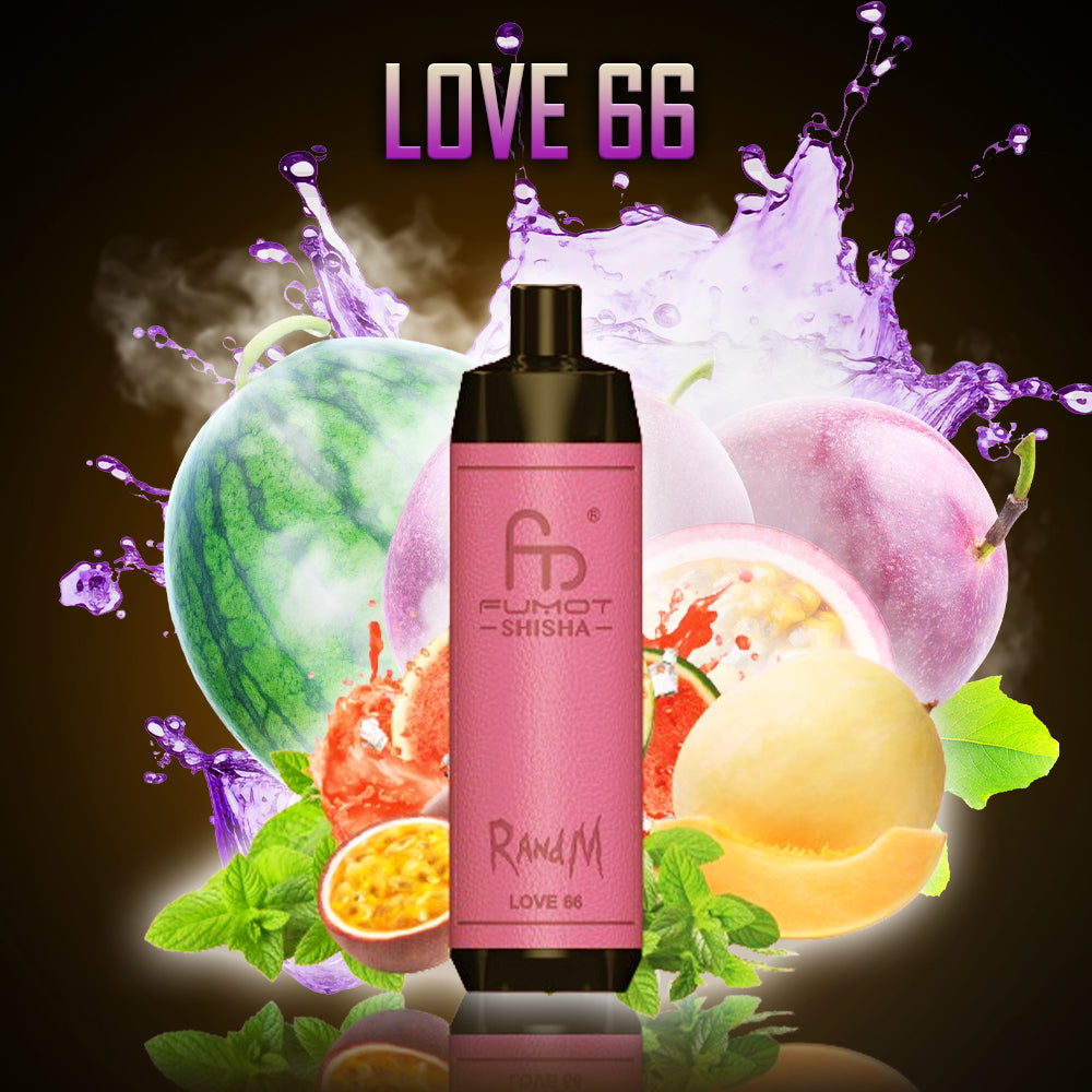 Love 66 2 Love 66 – Bild 2